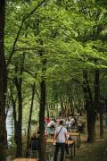 Top Danilovgrad
