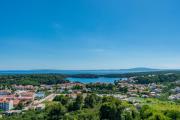 Top Palit