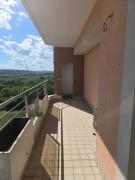 Top Salcea