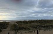 Top Swansea