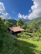 Top Avenone