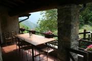 Top Avenone