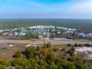 Top Port St. Joe