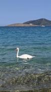 Top Porto Rafti