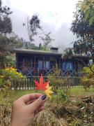 Singalila Jungle Lodge