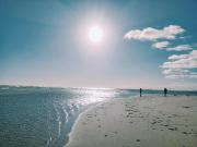 Top Skagen