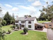 Top Kington