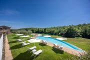 Top Todi