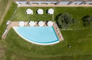 Top Todi