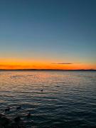 Top Balatonszárszó