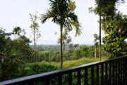 Top Wayanad