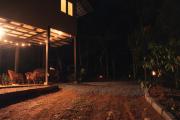 Top Wayanad