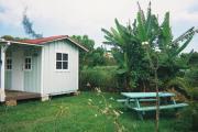 Top Laie