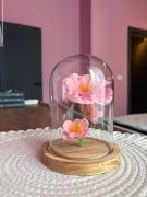 Blue Central Apartment - Neversea Beach - Old Town