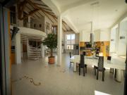 280m2 Luxus Loft Atrium-X mit 60m2 Terrasse