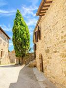 Top Panicale