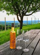 Top Lendava