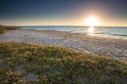 Top Edisto Island