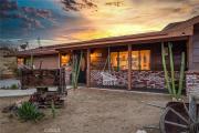 Top Joshua Tree