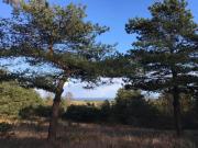 6 persons tranquil cottage in Knebel