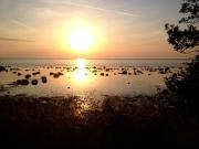 Top Visby