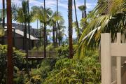 Top Oceanside