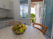 Pet Friendly Stay