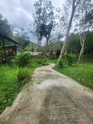 Mook Bamboo Bungalows