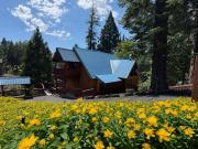 Top Shaver Lake