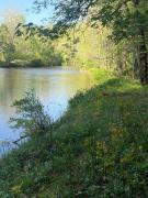 Top Cullowhee