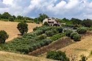 Top SantʼElpidio a Mare