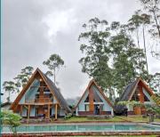 Top Palayangan