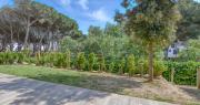 Top Calella de Palafrugell