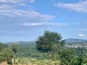 Top Hazyview