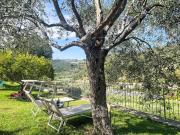 Top Lingueglietta