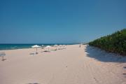 Top Cam Ranh