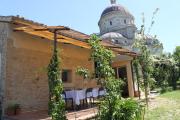 Top Todi