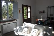 Top Todi