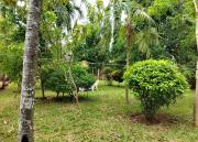 Top Kilifi