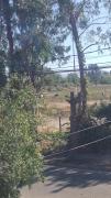 Top Talca