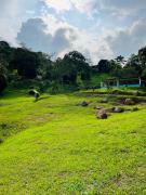 Finca Lantana Oficial