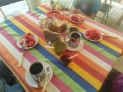 Top Xico