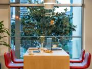 ibis Adana