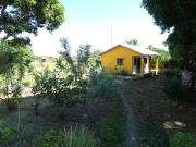 La maison jaune