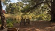 Top Woodchester