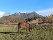 Top Digne-Les-Bains