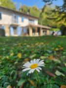 Top Santo Stefano Belbo