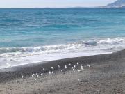 Top Ventimiglia