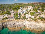 Top Marittima