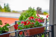 Top Sliven